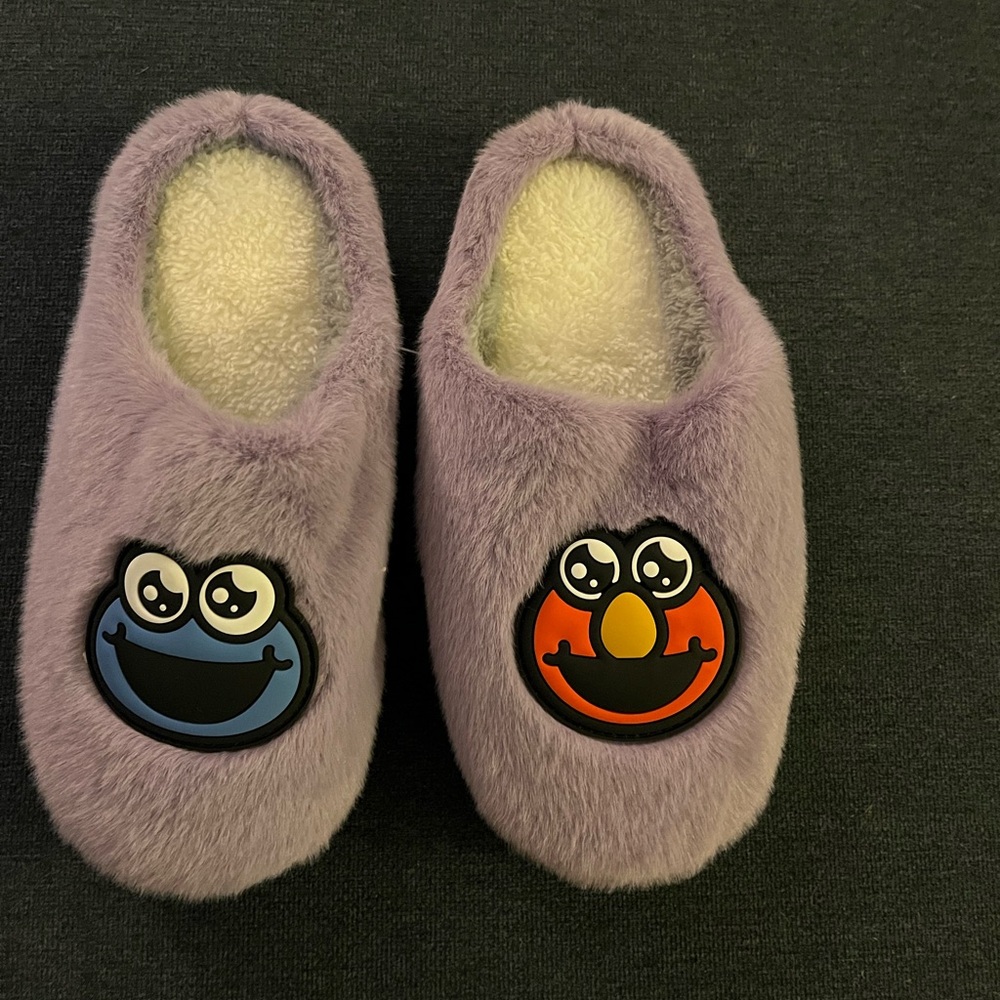 Sesame Street Slippers
